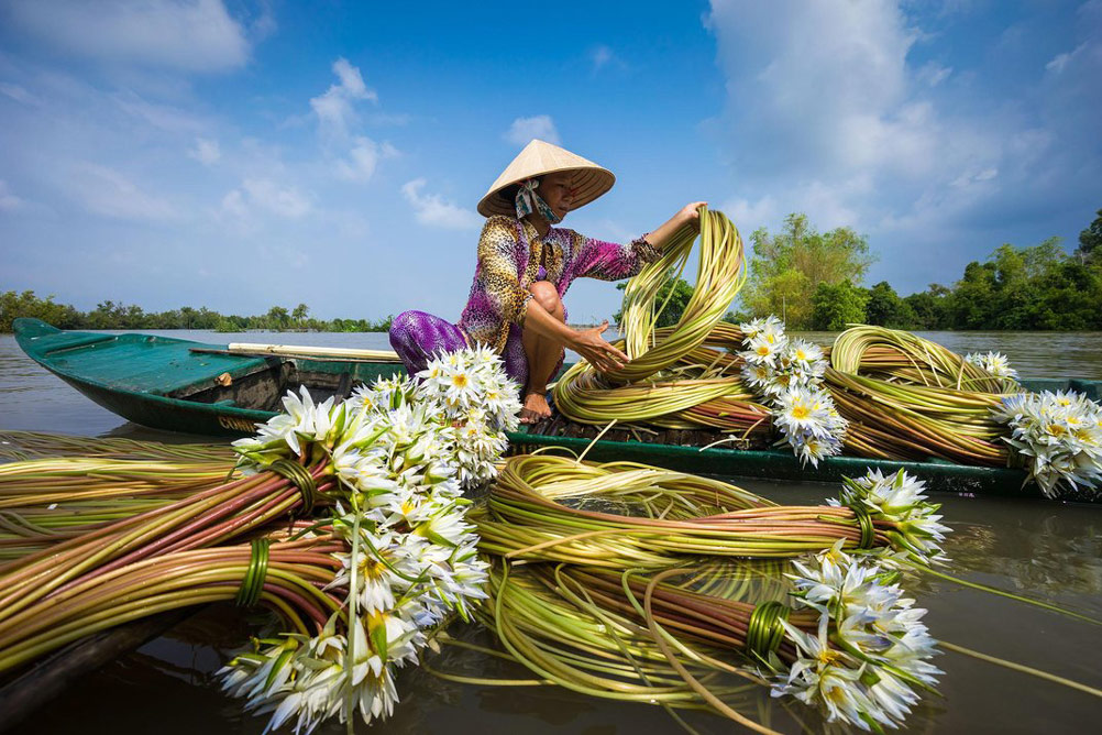 Picture 7 of 10 beautiful Vietnamese photos are appreciated at the 2015 photo contest