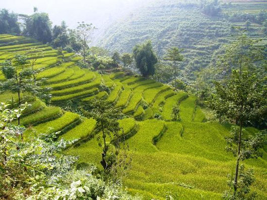 Picture 6 of 10 best destinations in Vietnam in foreign newspapers