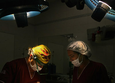 Picture 3 of 10 breakthroughs of world medicine 2008