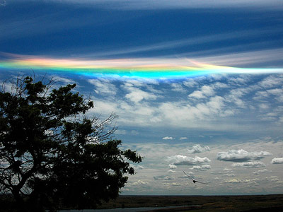 Picture 10 of 10 breathtaking spectacle of the sky