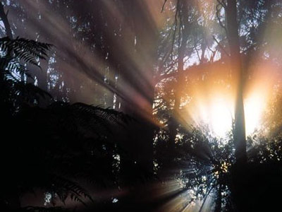 Picture 7 of 10 breathtaking spectacle of the sky
