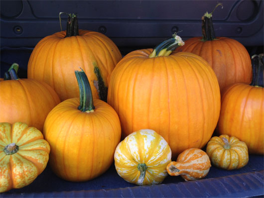 Picture 3 of 10 common 'superfoods' during seasonal weather