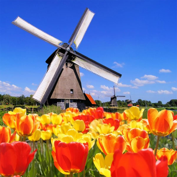 Picture 7 of 10 countries worth living in the world