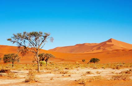 Picture 6 of 10 desert - big desert in the world