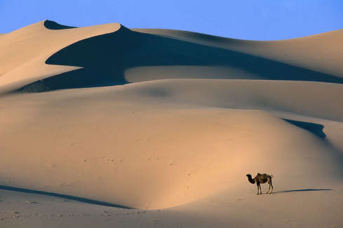 Picture 7 of 10 desert - big desert in the world