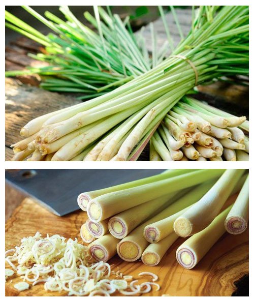 Picture 1 of 10 effects of lemongrass on health and beauty