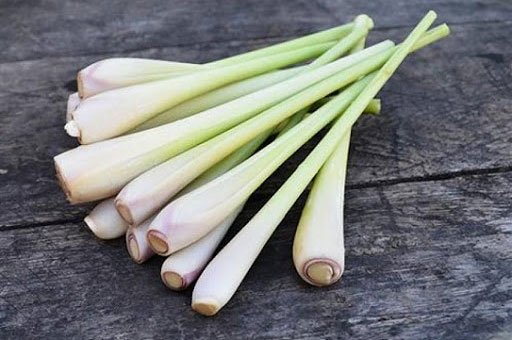 Picture 2 of 10 effects of lemongrass on health and beauty