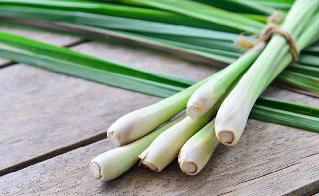 Picture 3 of 10 effects of lemongrass on health and beauty