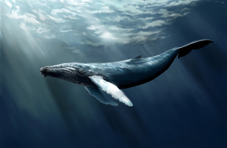 Picture 3 of 10 facts about animals that you probably haven't heard before