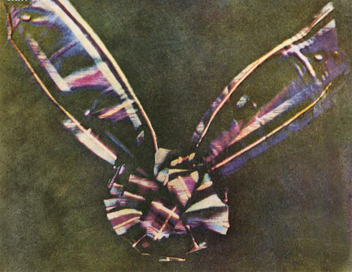 Picture 5 of 10 'first photos' in human photography history