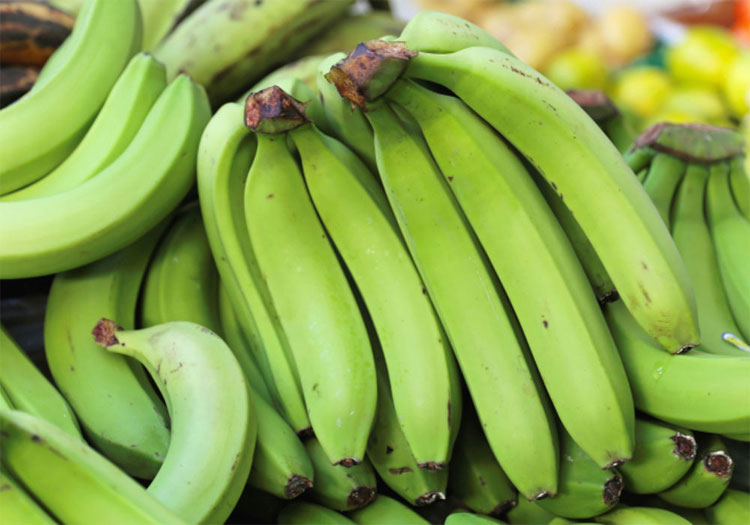 Picture 4 of 10 foods available after Tet helps 'fly' worries of constipation
