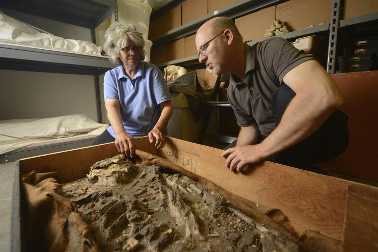 Picture 9 of 10 forgotten archaeological discoveries have been found again
