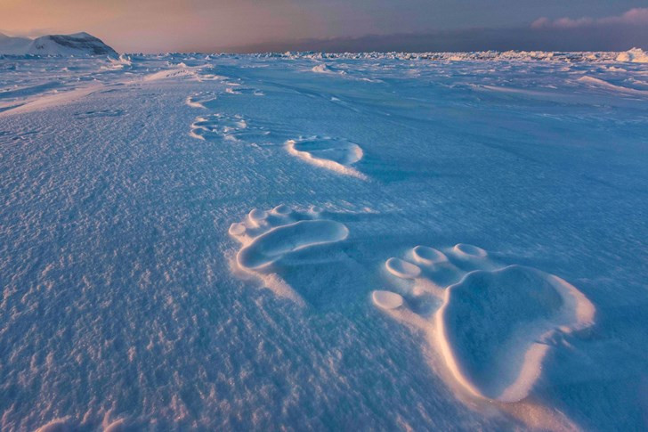 Picture 10 of 10 great photos of permafrost