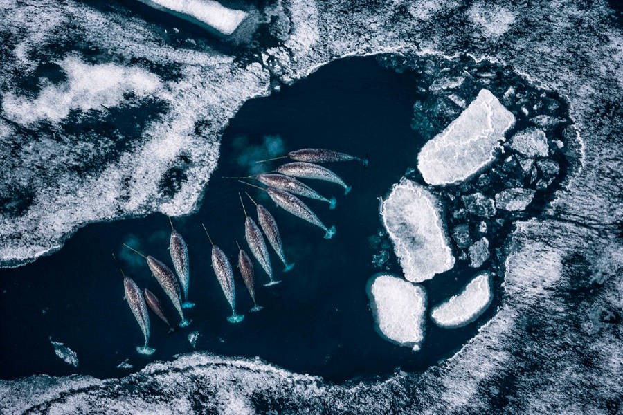 Picture 5 of 10 great photos of permafrost