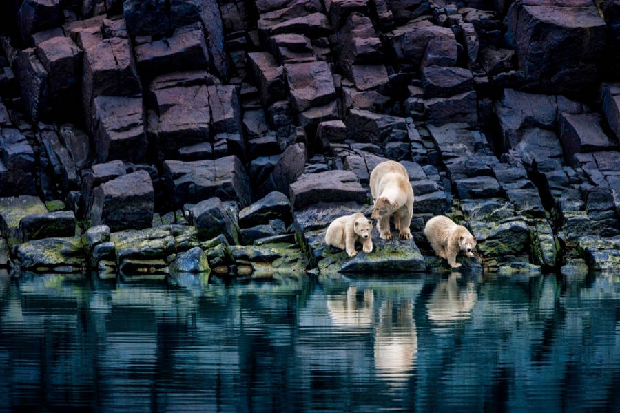 Picture 6 of 10 great photos of permafrost
