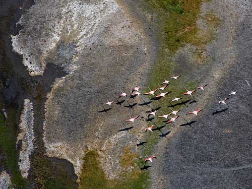 Picture 12 of 10 'hot spots' about forest ecosystems