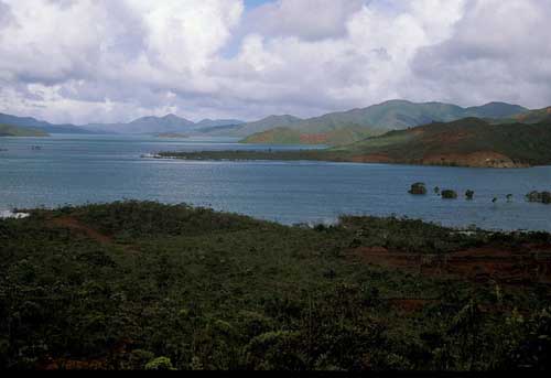 Picture 4 of 10 'hot spots' about forest ecosystems