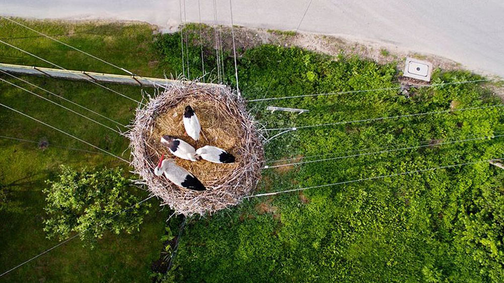 Picture 2 of 10 impressive aerial shots in 2015