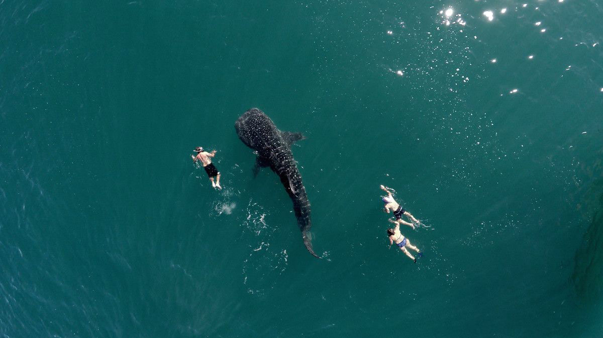 Picture 7 of 10 impressive aerial shots in 2015
