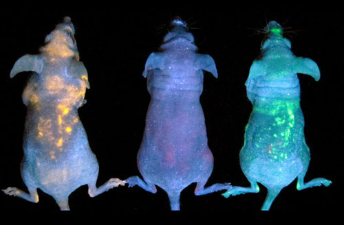 Picture 1 of 10 impressive scientific and technological inventions