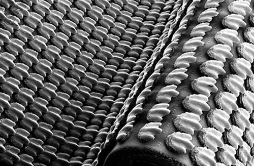 Picture 4 of 10 impressive scientific and technological inventions