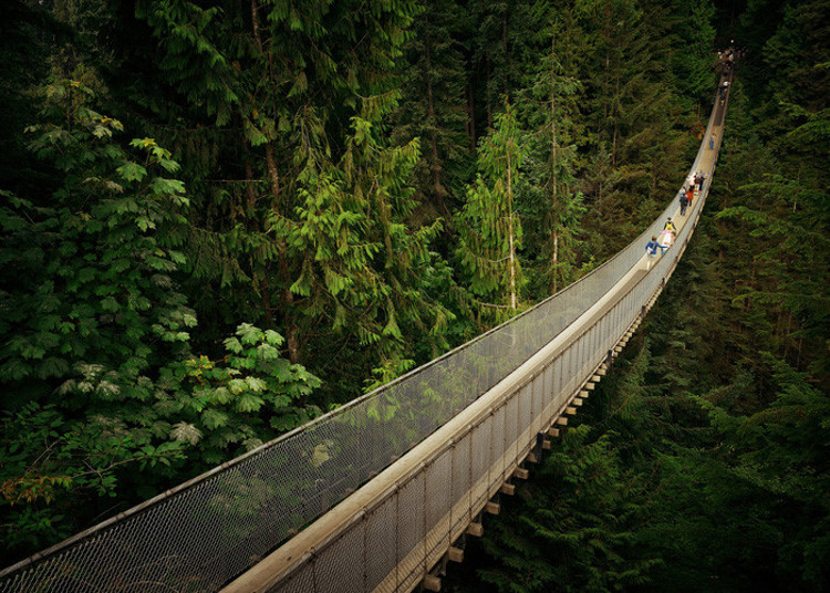 Picture 8 of 10 impressive suspension bridges in the world