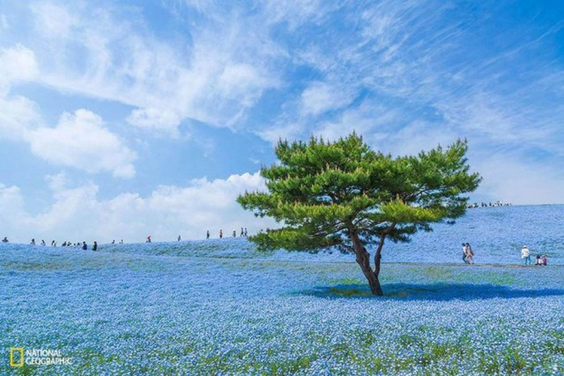 Picture 1 of 10 impressive travel photos of National Geographic