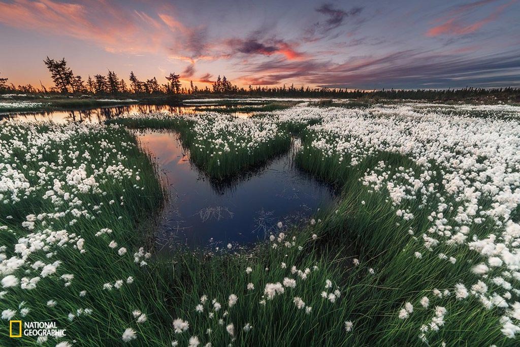 Picture 4 of 10 impressive travel photos of National Geographic