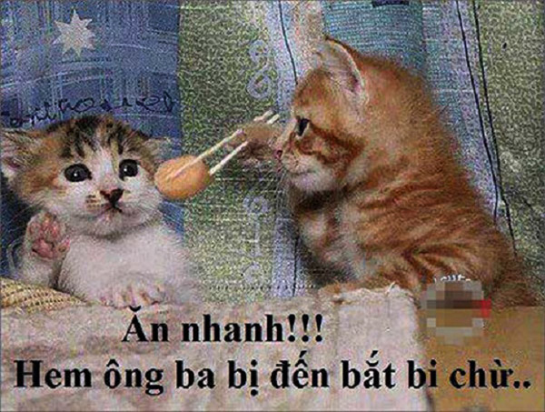 Picture 5 of 10 interesting misunderstandings of Vietnamese children in the past