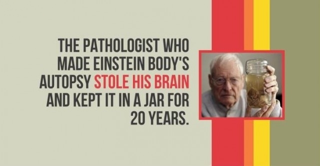 Picture 10 of 10 interesting things about 2 great scientists of humanity