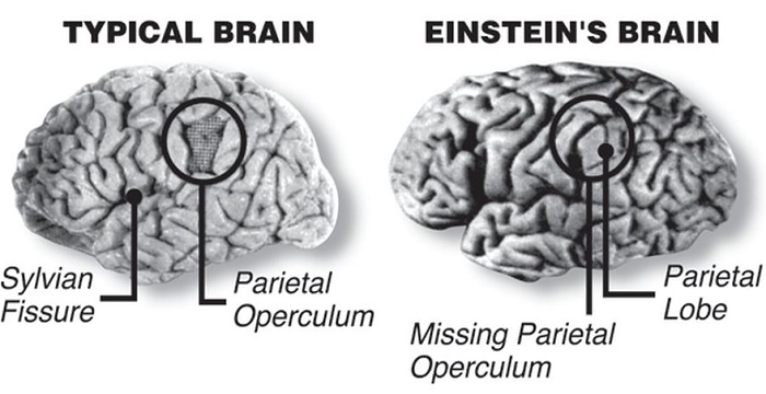 Picture 7 of 10 interesting things about 2 great scientists of humanity