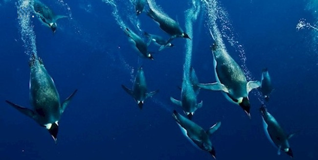 Picture 9 of 10 interesting things about life you may not know
