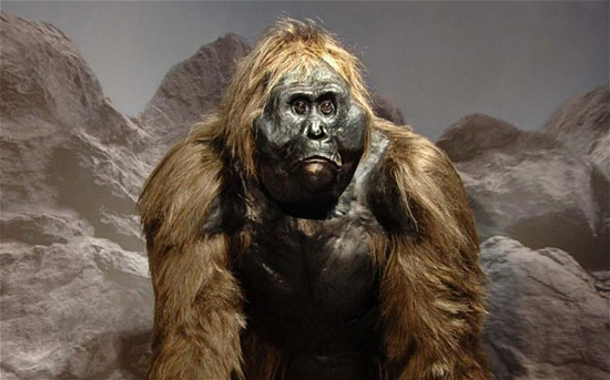Picture 4 of 10 legendary animals can be real