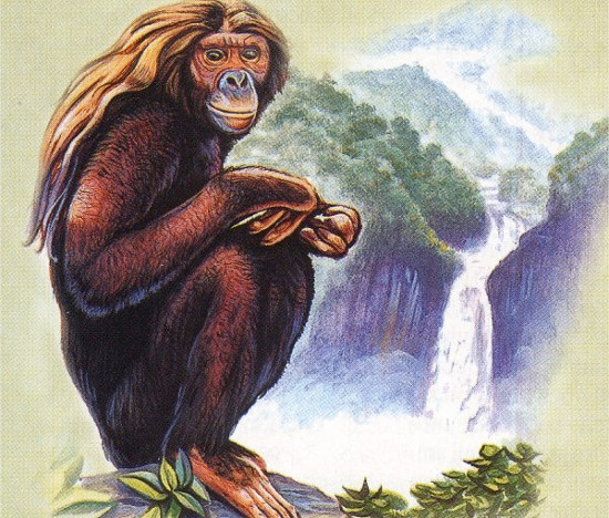 Picture 7 of 10 legendary animals can be real