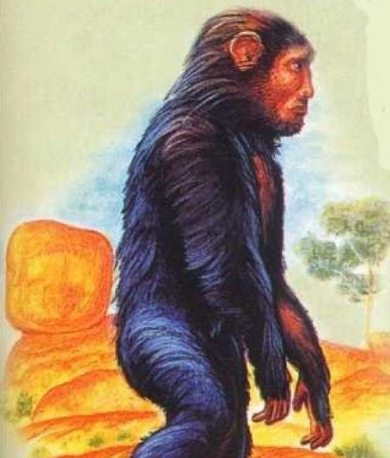 Picture 8 of 10 legendary animals can be real