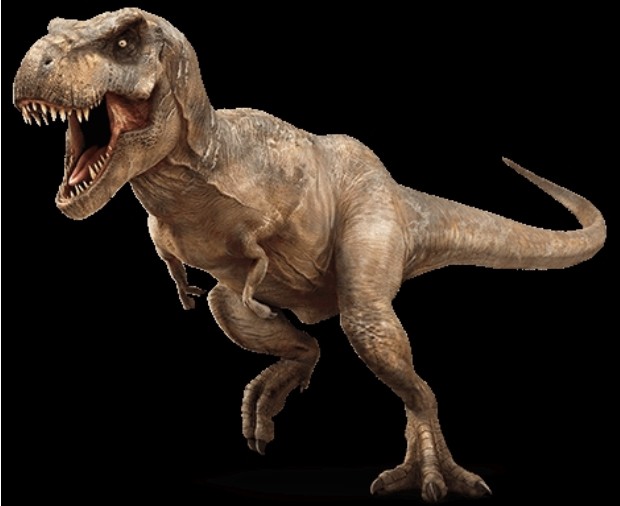 Picture 4 of 10 misconceptions about dinosaurs
