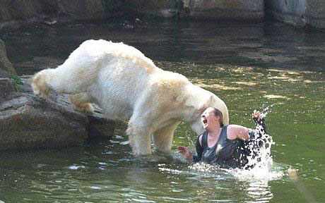 Picture 8 of 10 most dangerous animals on the planet