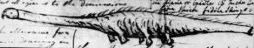 Picture 10 of 10 most famous aquatic monsters of all time