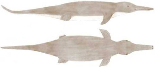 Picture 3 of 10 most famous aquatic monsters of all time