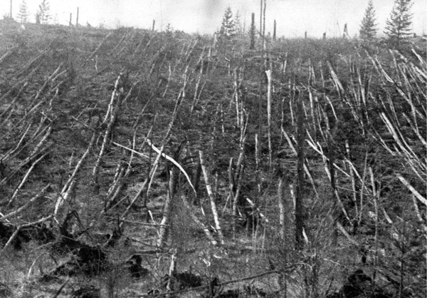 Picture 3 of 10 most horrifying explosions in human history