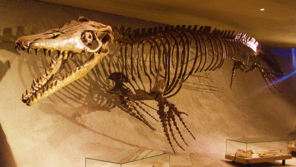 Picture 10 of 10 most horrifying prehistoric predator monsters