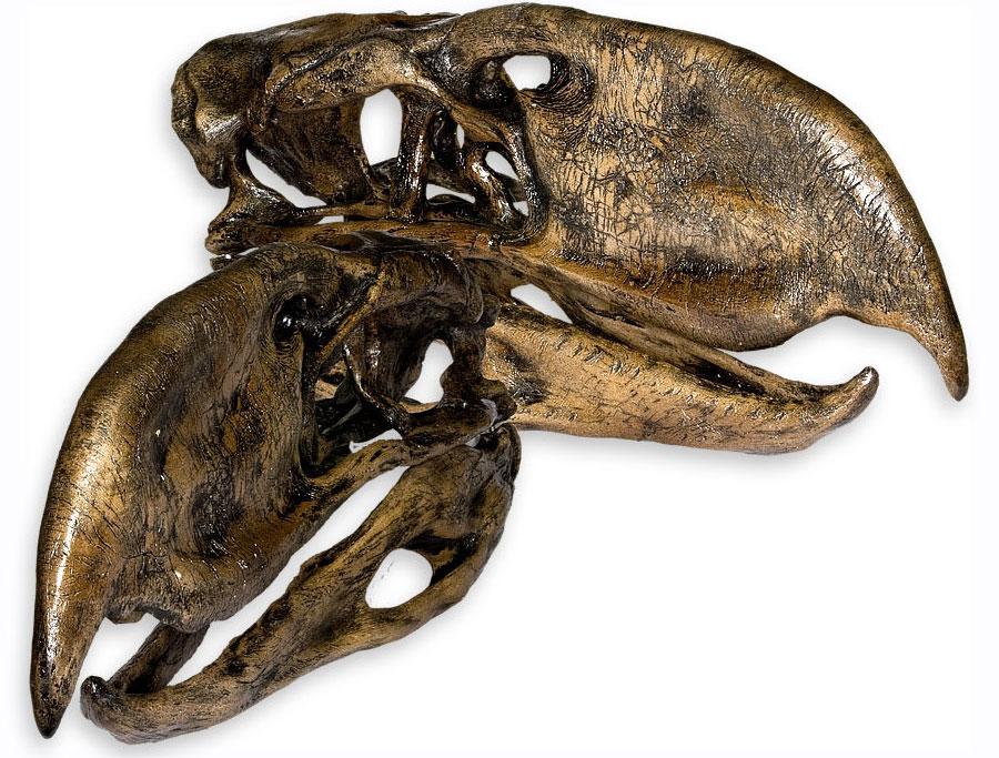 Picture 14 of 10 most horrifying prehistoric predator monsters
