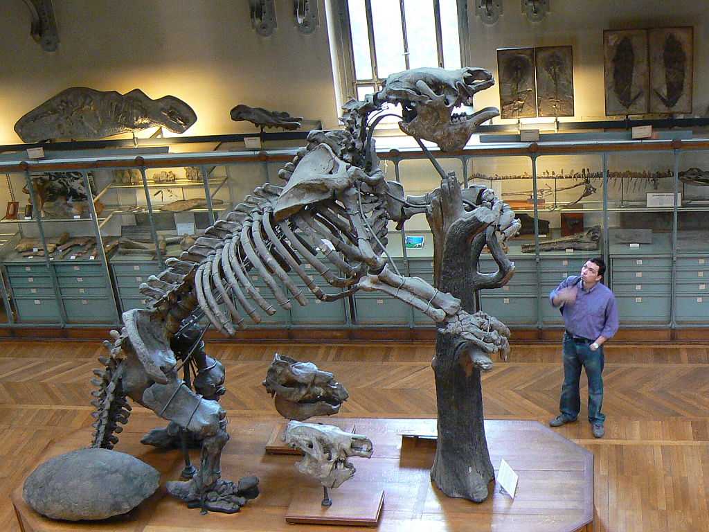 Picture 4 of 10 most horrifying prehistoric predator monsters