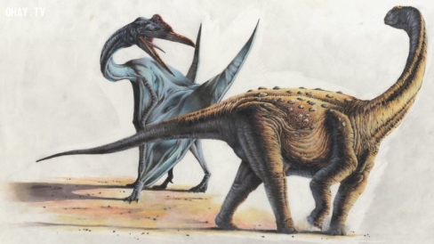 Picture 6 of 10 most horrifying prehistoric predator monsters