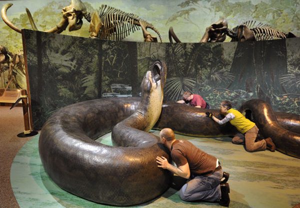 Picture 7 of 10 most horrifying prehistoric predator monsters