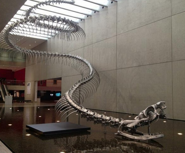 Picture 8 of 10 most horrifying prehistoric predator monsters