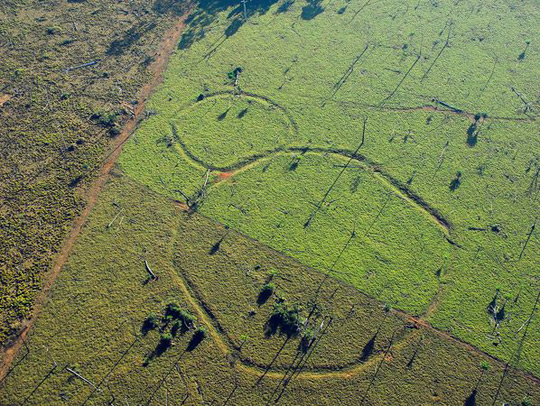 Picture 7 of 10 most impressive findings in 2010