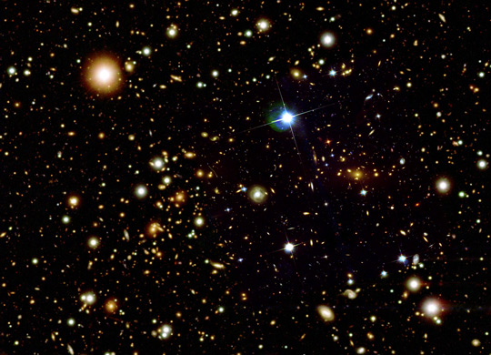 Picture 9 of 10 most impressive findings in 2010