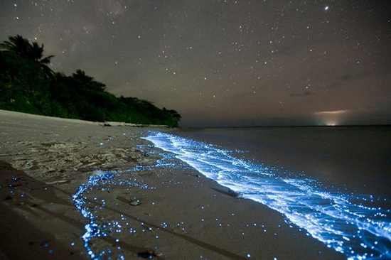 Picture 4 of 10 most viewed scientific photos in 2012