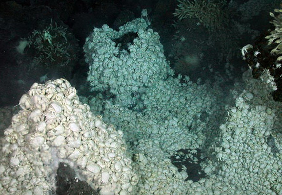 Picture 6 of 10 most viewed scientific photos in 2012